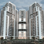 پروژه شمیم رحمت 3